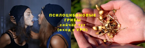 прущие крисы Козловка