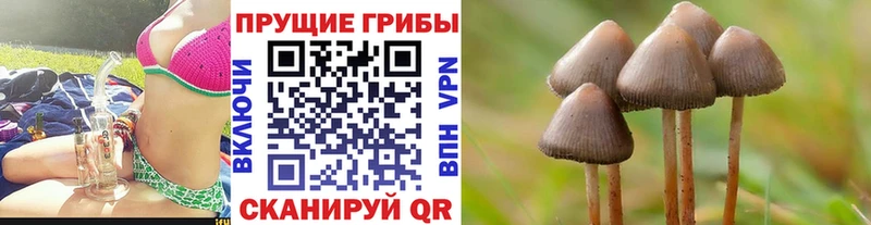 Псилоцибиновые грибы мухоморы  Купить закладки  Суровикино 